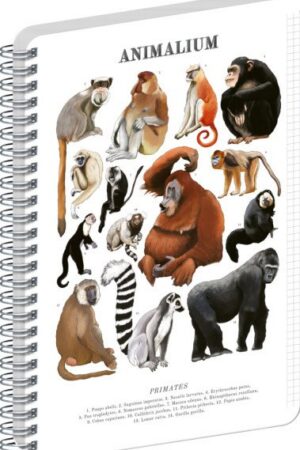 Spirálový blok Animalium - Primáti, čtverečkovaný, A5