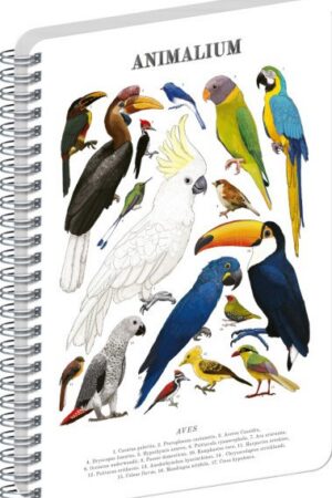 Spirálový blok Animalium - Ptáci, čistý, A4