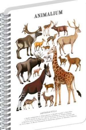 Spirálový blok Animalium - Sudokopytníci, čistý, A4