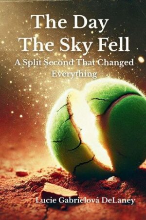 The Day the Sky Fell
