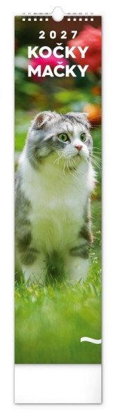 Kalendář 2027 nástěnný: Kočky, 12 x 48 cm