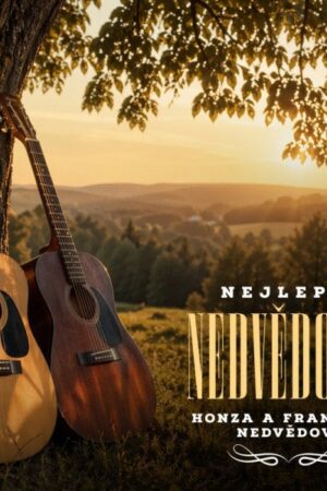 2CD Nedvědi: Nejlepší Nedvědovky