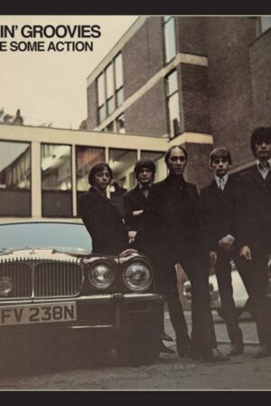 2CD Flamin´ Groovies: Shake Some Action