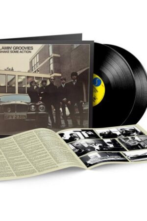2LP Flamin´ Groovies: Shake Some Action