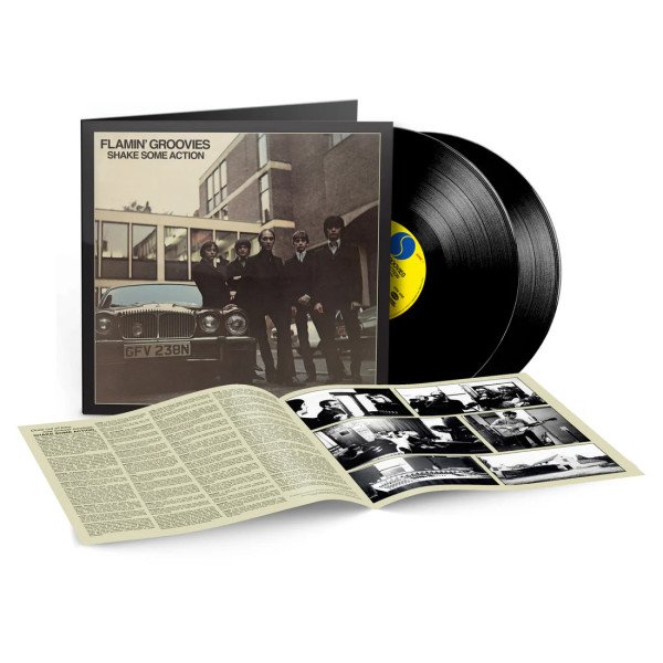 2LP Flamin´ Groovies: Shake Some Action