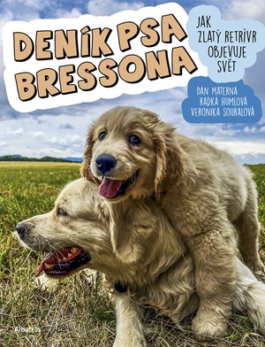 Deník psa Bressona