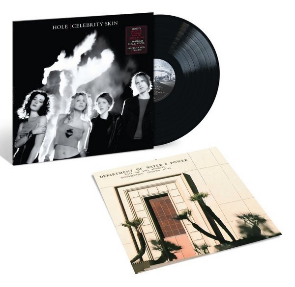 LP Hole: Celebrity Skin