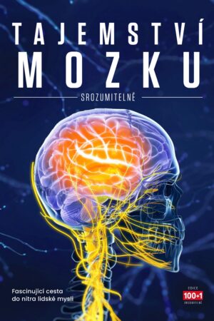Tajemství mozku srozumitelně