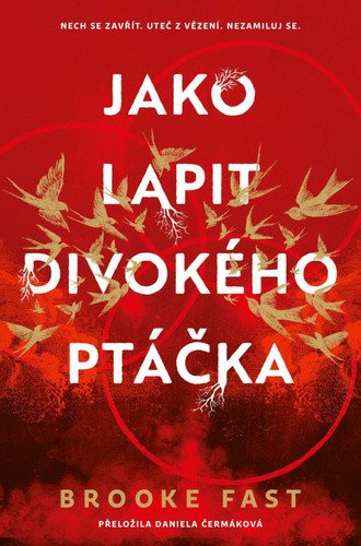 Jako lapit divokého ptáčka
