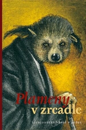 PLAMENY V ZRCADLE - FRANCOUZSKÉ BÁSNĚ V PRÓZE