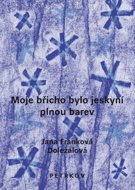 MOJE BŘICHO BYLO JESKYNÍ PLNOU BAREV - Obrázek 2